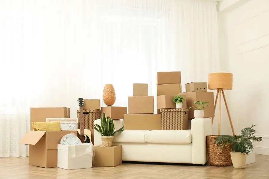 Cardboard boxes, potted plants and household stuff indoors on moving day